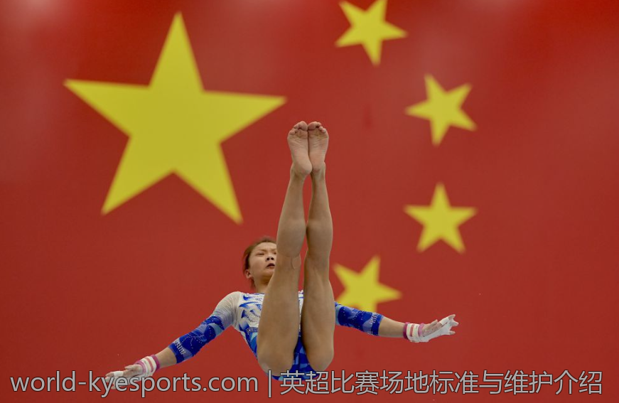 英超比赛场地标准与维护介绍